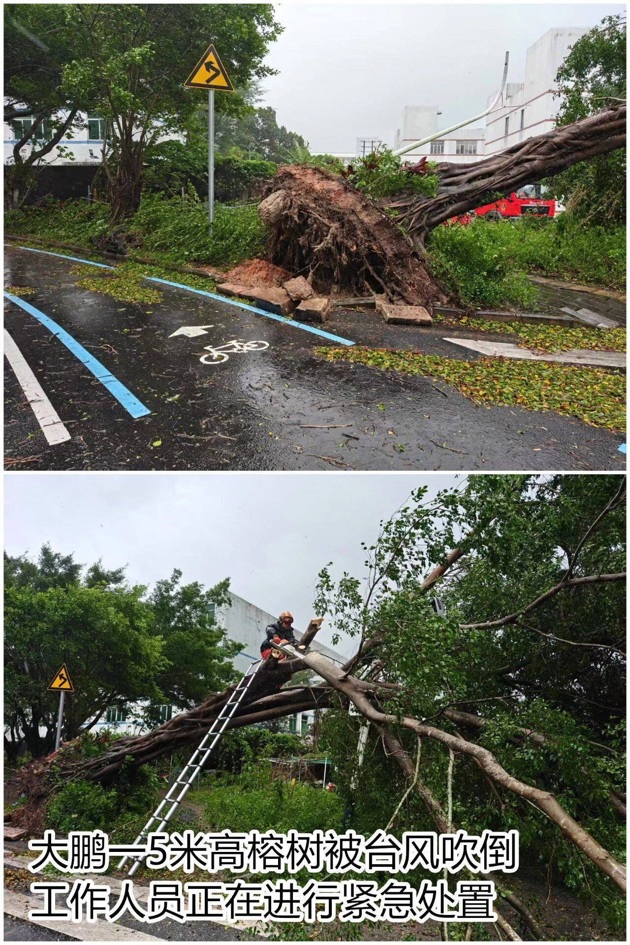 台风夜<strong></p>
<p>planb</strong>，深圳有人溺水！紧急！“桦加沙”过境，这些画面泪目