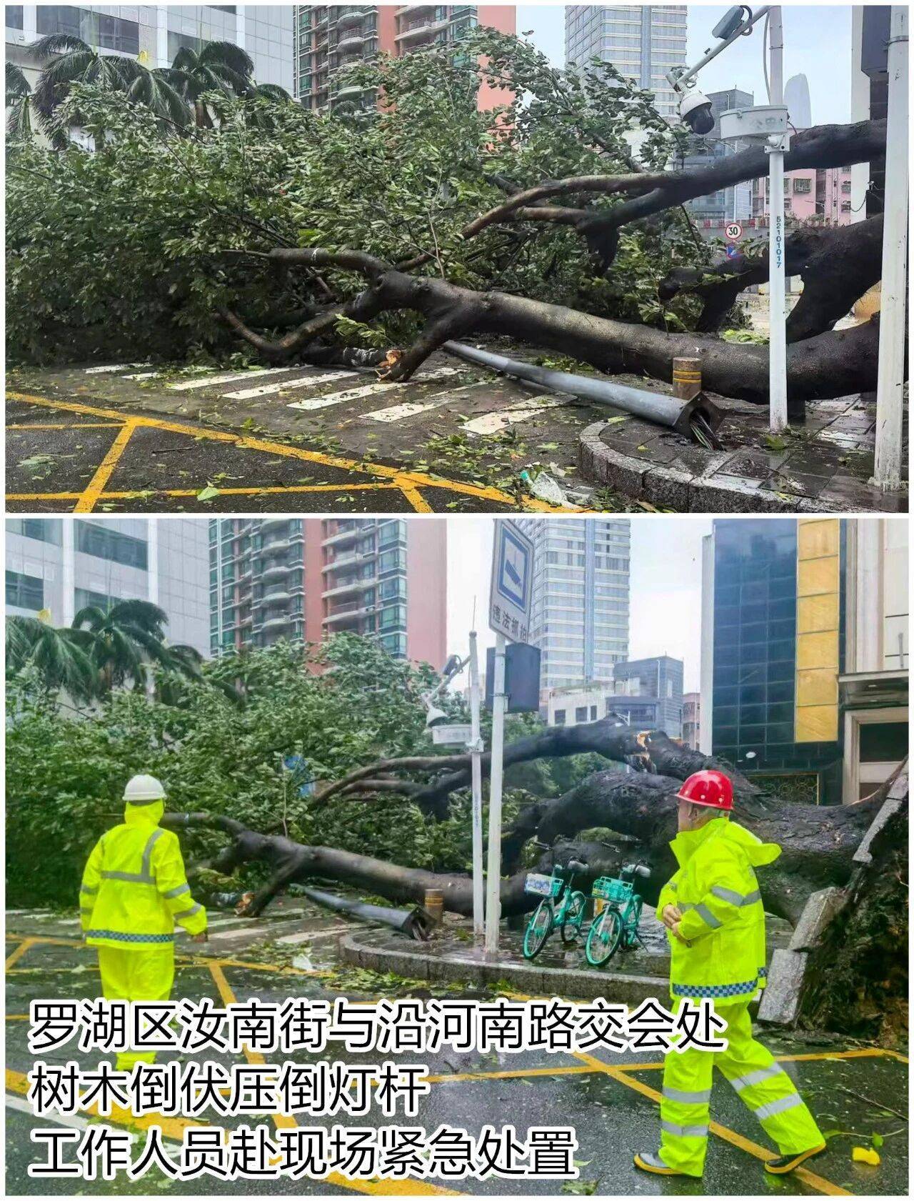 台风夜<strong></p>
<p>planb</strong>，深圳有人溺水！紧急！“桦加沙”过境，这些画面泪目