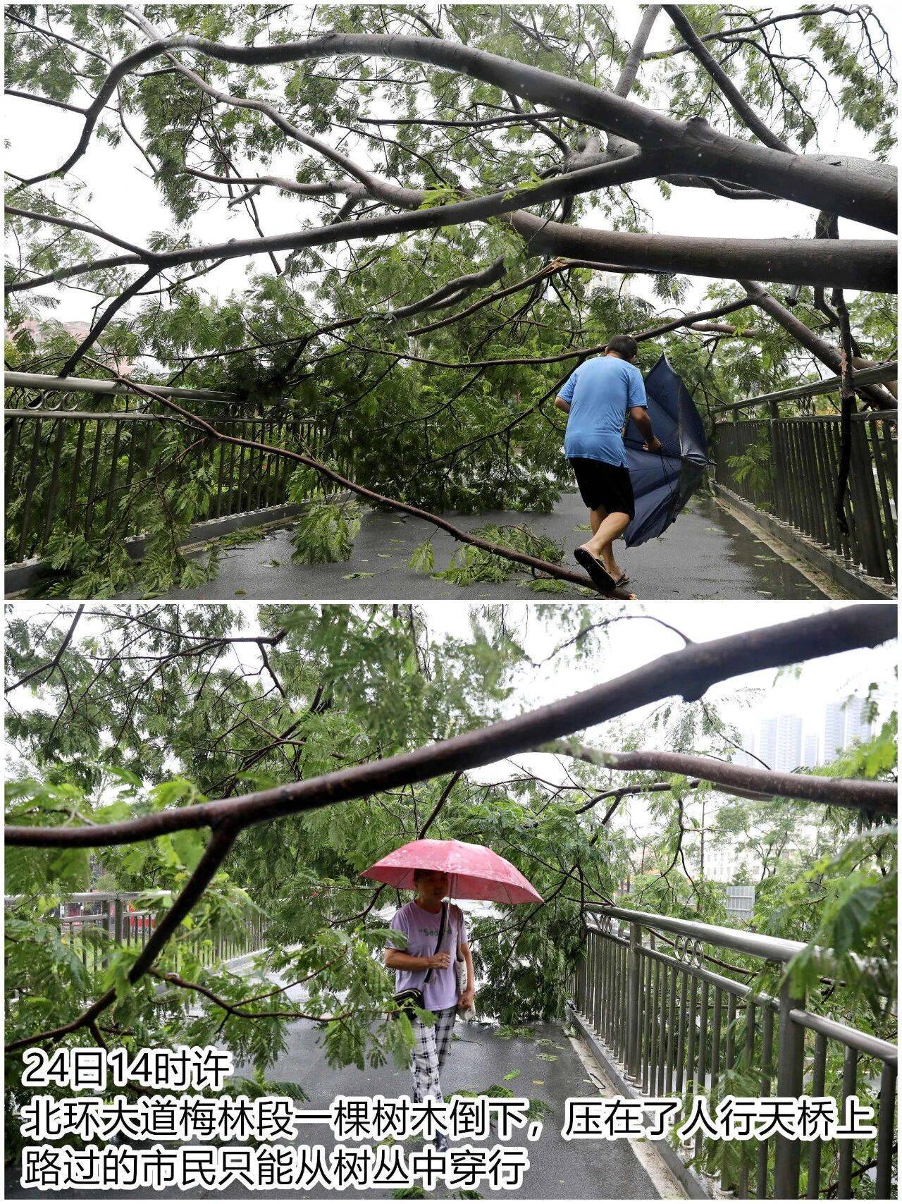 台风夜<strong></p>
<p>planb</strong>，深圳有人溺水！紧急！“桦加沙”过境，这些画面泪目