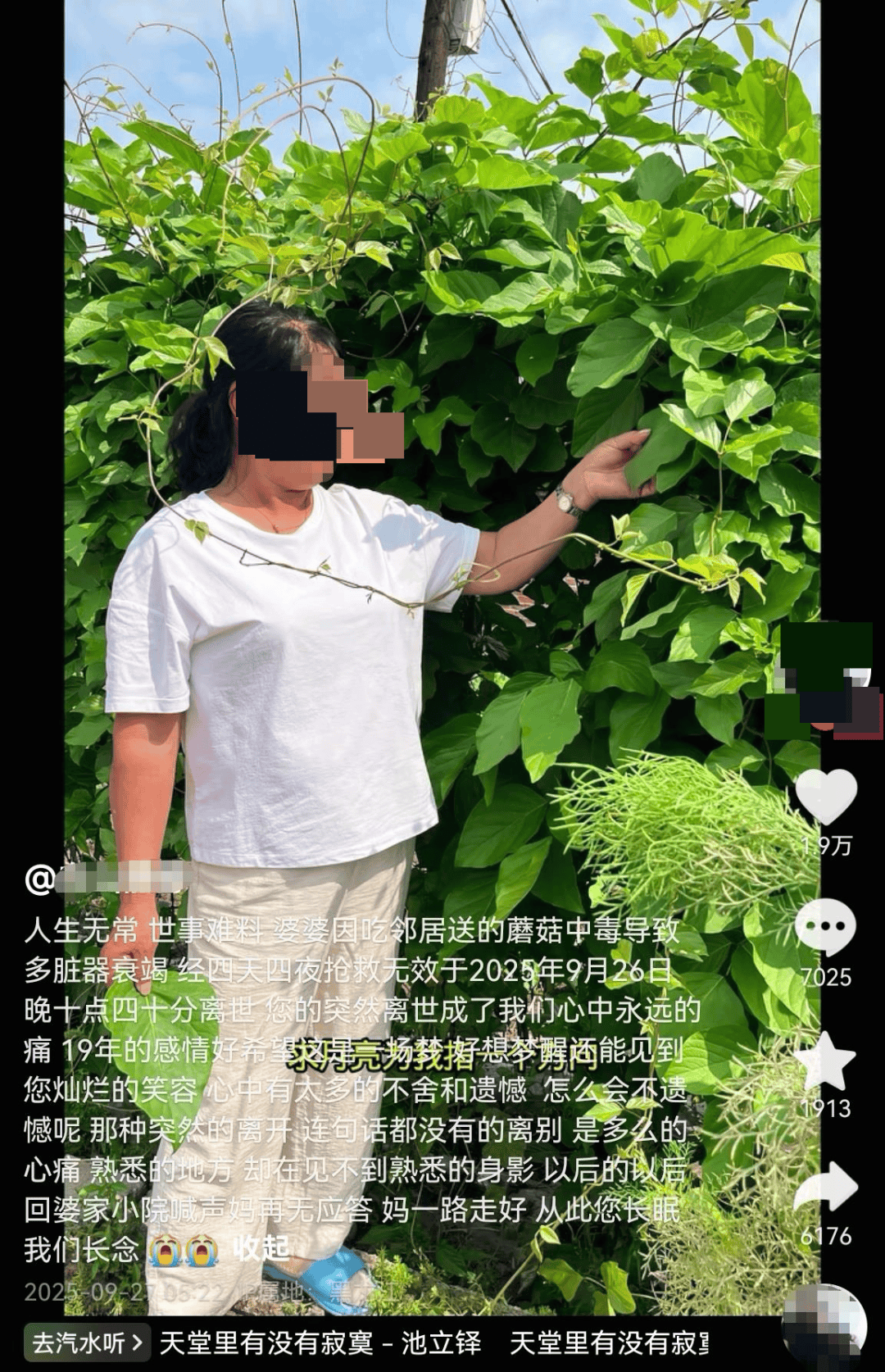 网红发文悼念婆婆：吃了邻居送的蘑菇中毒<strong></p>
<p>虚拟币ghc</strong>，抢救四天四夜死亡！这些蘑菇避毒原则可能是陷阱→