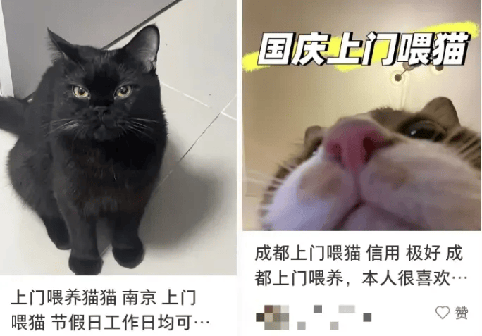 这个需求激增！一男子连接270单<strong></p>
<p>虚拟币鱿鱼币代码</strong>，其中一笔收费8100元