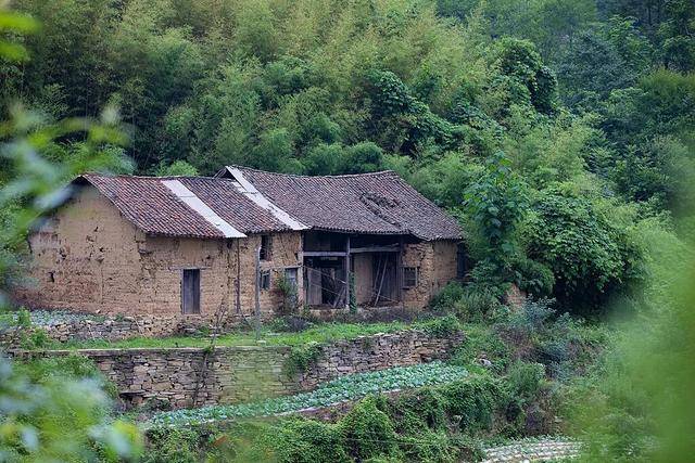 没人住的房子<strong></p>
<p>虚拟币鱿鱼币代码</strong>，为什么会“老”得特别快？