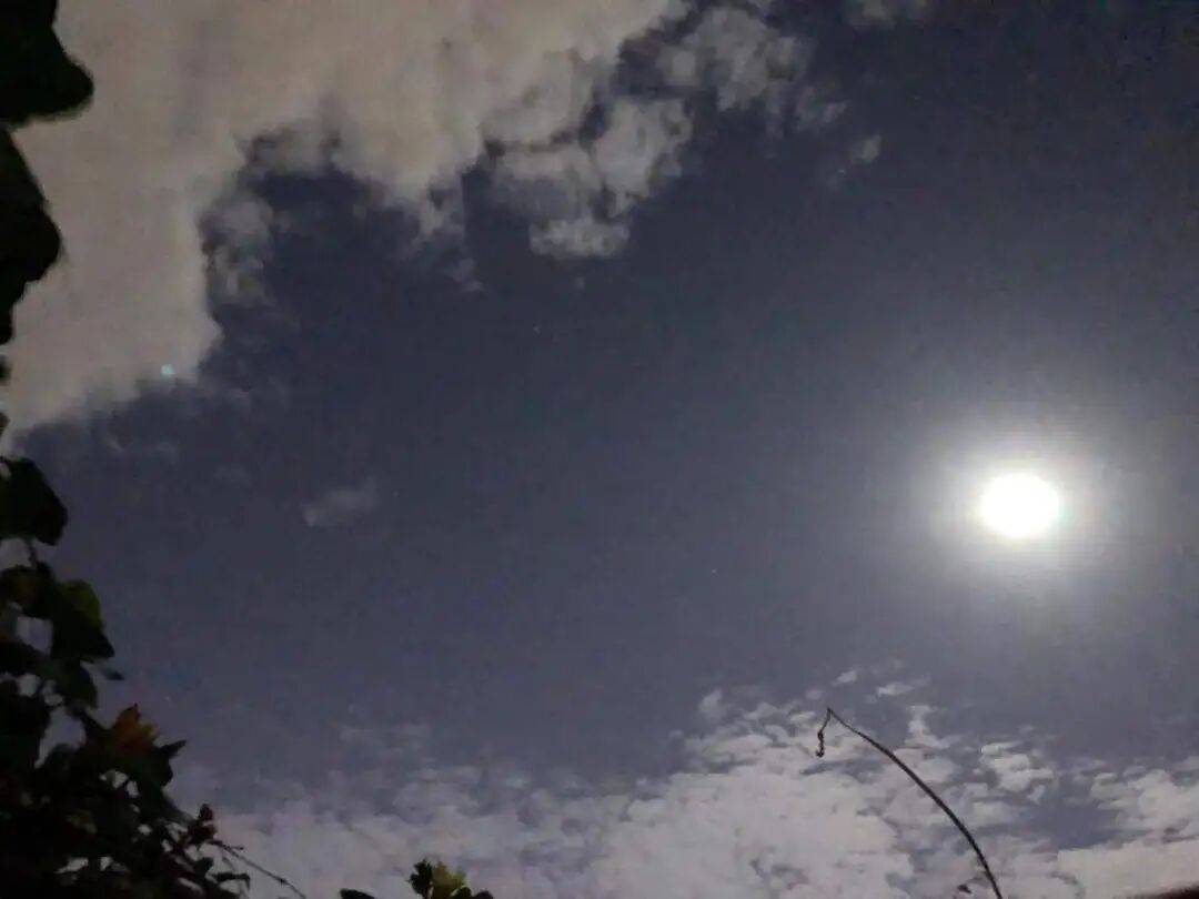 没有什么能阻挡！今天<strong></p>
<p>虚拟币鱿鱼币代码</strong>，广西人就是要回家！
