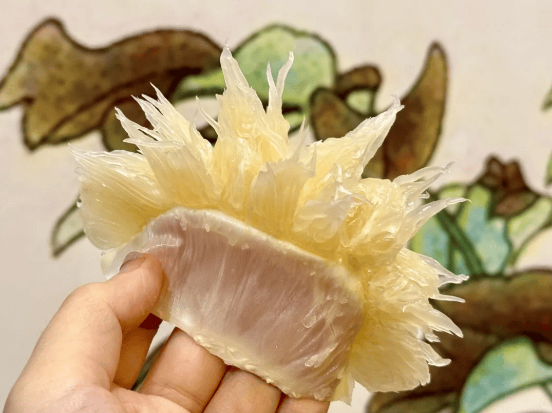 没有什么能阻挡！今天<strong></p>
<p>虚拟币鱿鱼币代码</strong>，广西人就是要回家！