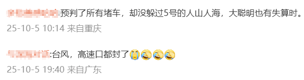 神预判<strong></p>
<p>金鱼虚拟币</strong>！第一波返程的“聪明人”在高速上精准相遇