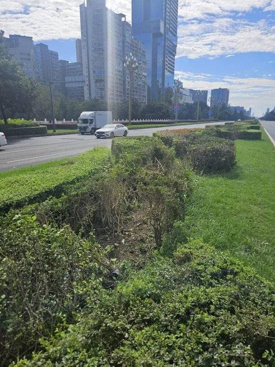 小米汽车失控起火司机遇难<strong></p>
<p>虚拟币EDU最新消息</strong>,目击者称车速150km/h,实探事故地:燃烧留下的印记仍在