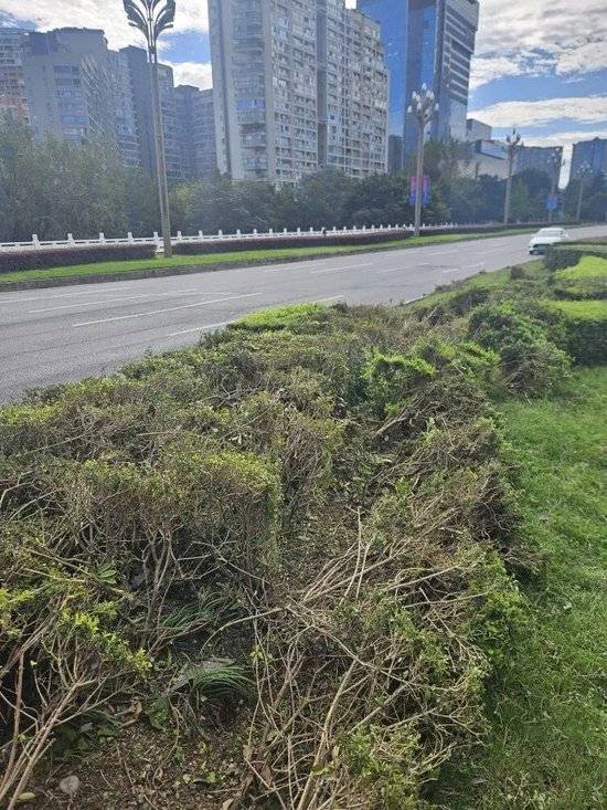 小米汽车失控起火司机遇难<strong></p>
<p>虚拟币EDU最新消息</strong>,目击者称车速150km/h,实探事故地:燃烧留下的印记仍在