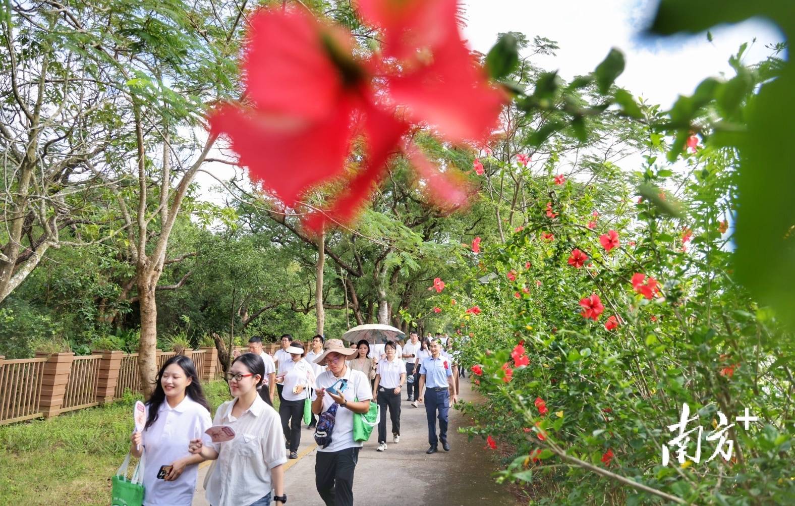 中山城建集团“连心桥”移交<strong></p>
<p>虚拟币EDU最新消息</strong>，村企共建绘就桂南新画卷