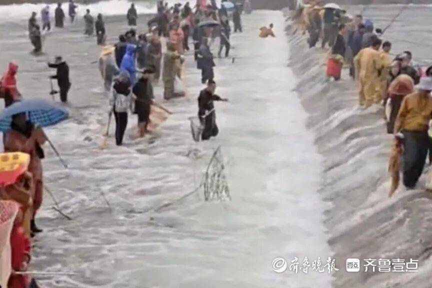 “鱼多得数不过来<strong></p>
<p>虚拟币飞机群</strong>,一网子下去能捞好几条”济南锦绣川水库开闸放水,大量鲢鱼被冲出,工作人员:禁止捕捞!