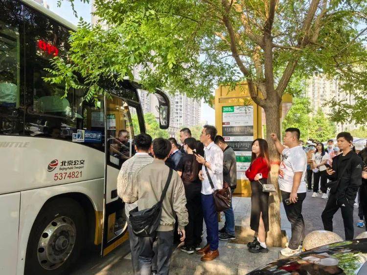 建议“公交老年卡高峰期禁用”<strong></p>
<p>虚拟币PHB</strong>，能解决问题吗？