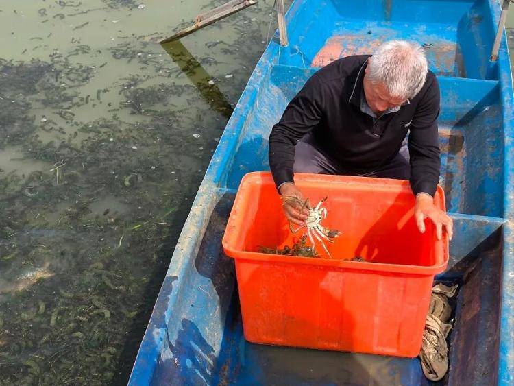武汉江夏一地大闸蟹大量上市<strong></p>
<p>虚拟币平台风控了咋办</strong>，日产1000斤当天售完，每只螃蟹有自己的“身份证”，吃深海小黄鱼长大