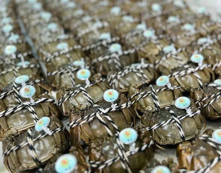 武汉江夏一地大闸蟹大量上市<strong></p>
<p>虚拟币平台风控了咋办</strong>，日产1000斤当天售完，每只螃蟹有自己的“身份证”，吃深海小黄鱼长大