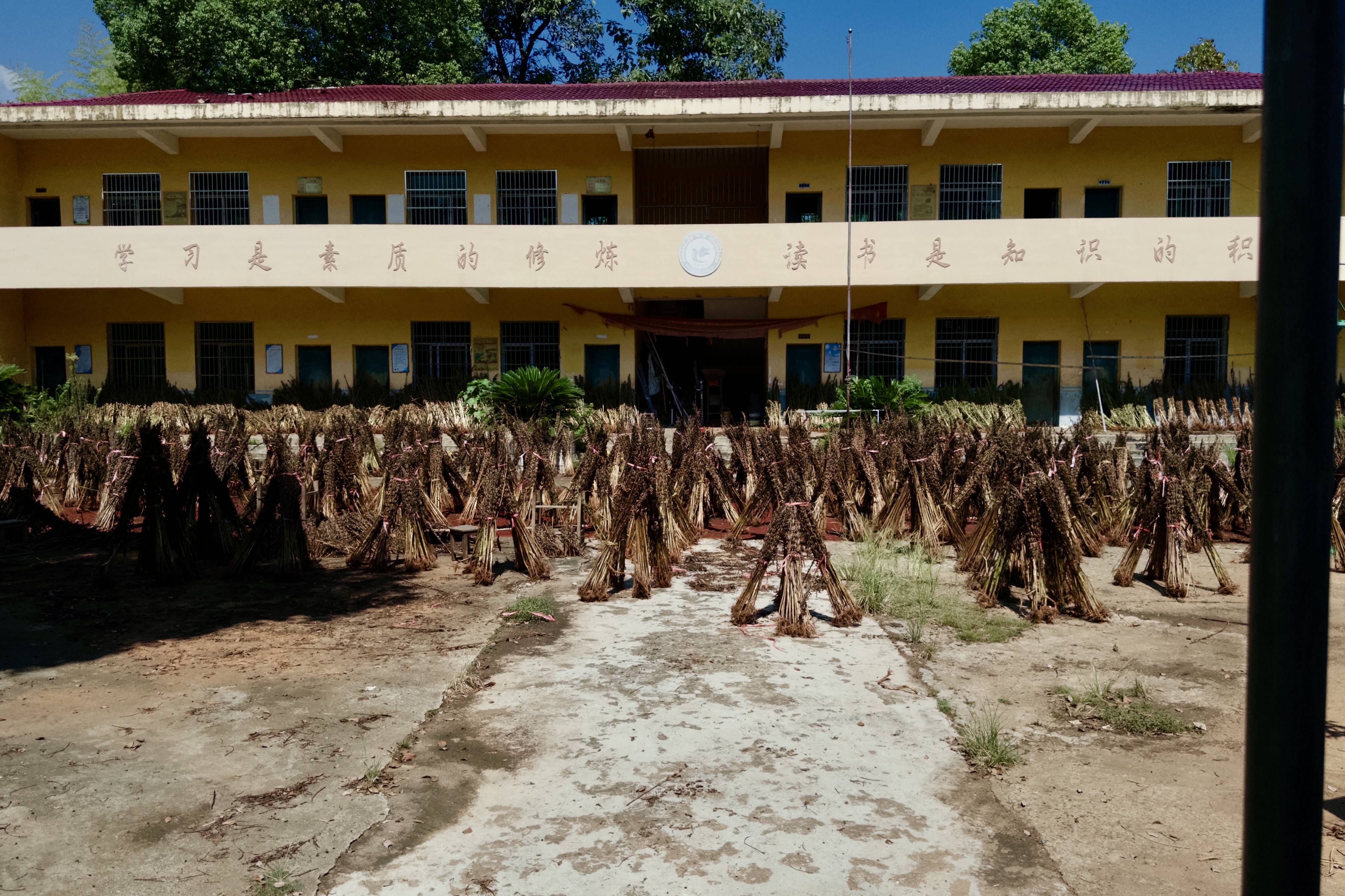 在县城当老师<strong></p>
<p>虚拟币b单位</strong>，没那么吃香了