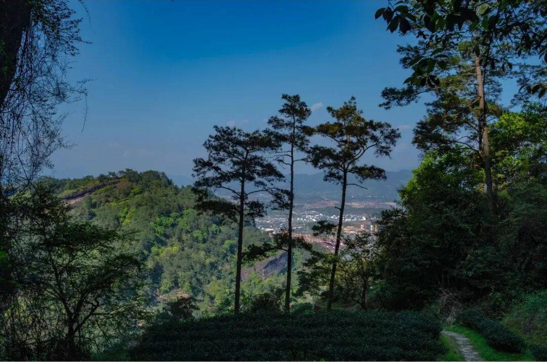 为什么年轻人迷上了爬山？ | 秋高气爽<strong></p>
<p>虚拟币magic</strong>，是时候出发了→