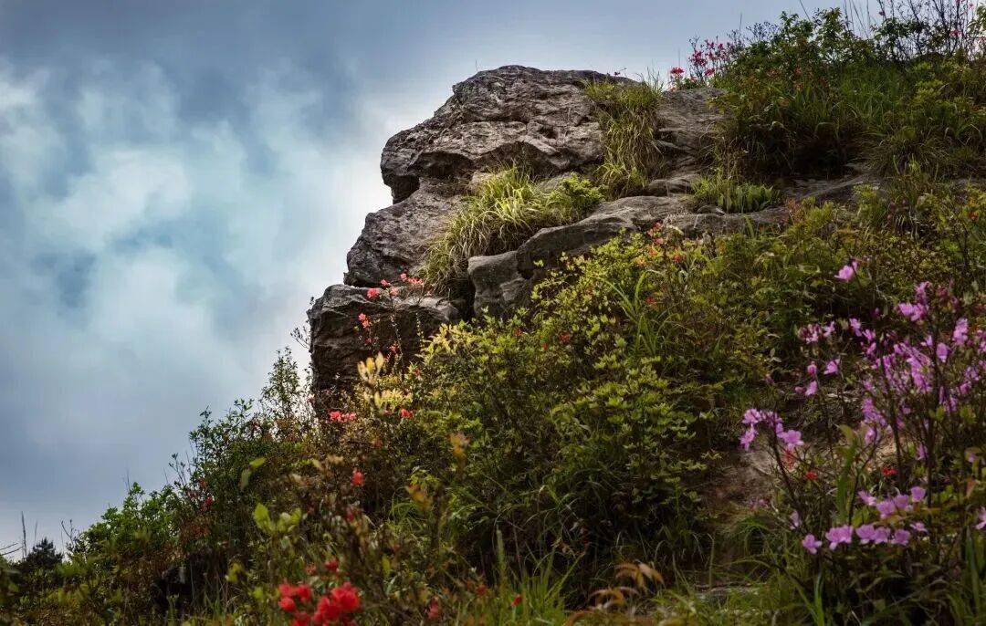 为什么年轻人迷上了爬山？ | 秋高气爽<strong></p>
<p>虚拟币magic</strong>，是时候出发了→