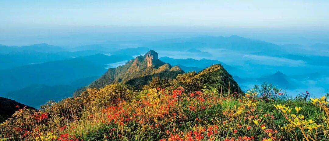 为什么年轻人迷上了爬山？ | 秋高气爽<strong></p>
<p>虚拟币magic</strong>，是时候出发了→