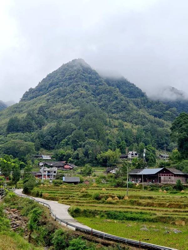 推窗见梯田<strong></p>
<p>虚拟币magic</strong>!梧桐山民宿:把日子过成诗