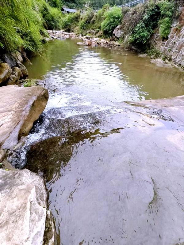 推窗见梯田<strong></p>
<p>虚拟币magic</strong>!梧桐山民宿:把日子过成诗