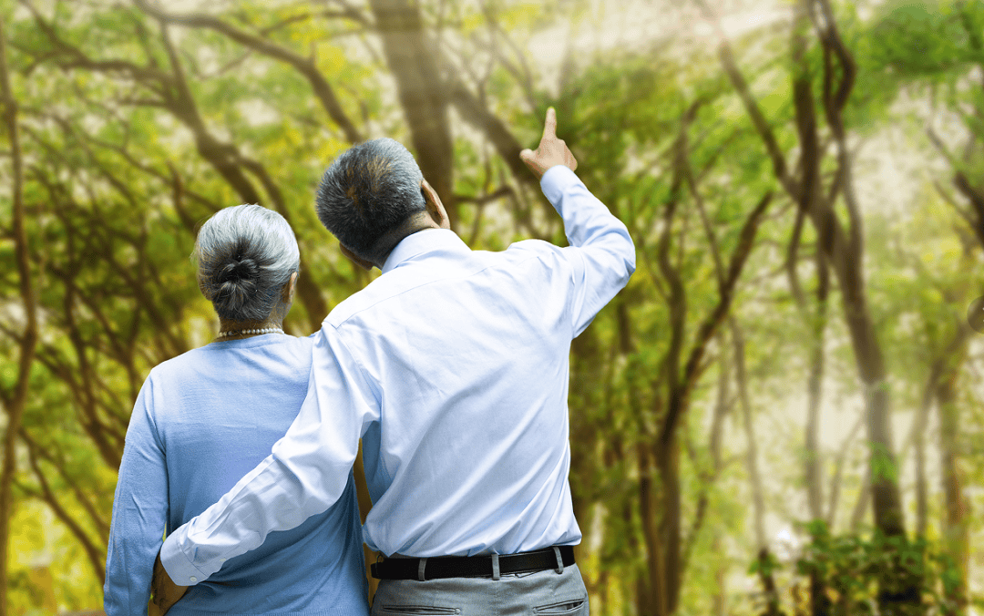 敬老月护“钱袋子”丨远离非法金融<strong></p>
<p>虚拟币magic</strong>,守住幸福晚年