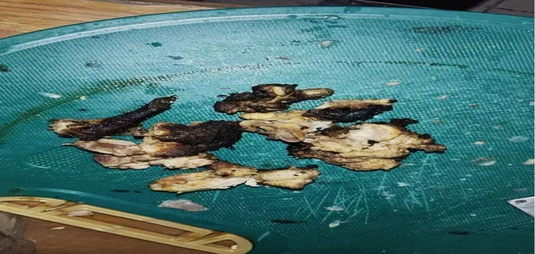 智慧烟感精准预警 科技筑牢火灾防控“安全网”