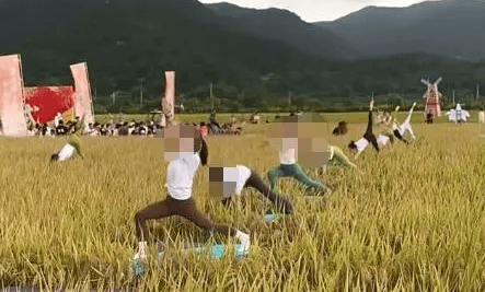 媒体:稻田开镰仪式<strong></p>
<p>虚拟币magic</strong>,表演哪门子瑜伽?