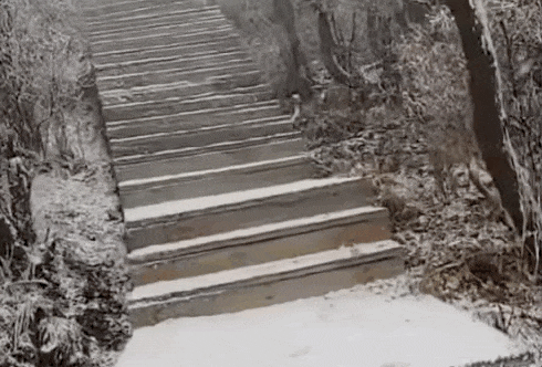 石家庄下雪了<strong></p>
<p>虚拟币BHD</strong>！河北雨雪上线！新一股冷空气在路上……