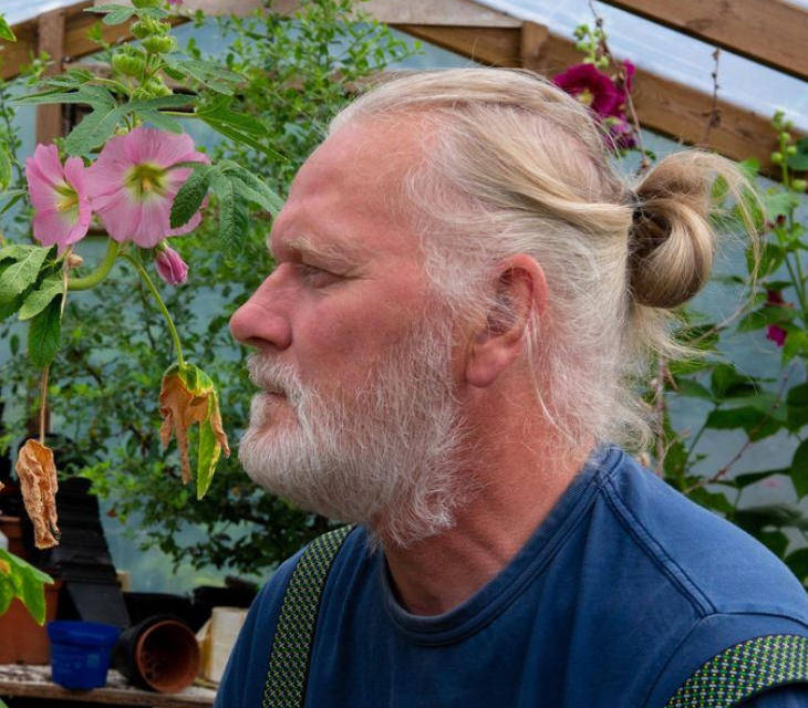 两只雌蚊和一只雄蚊被发现<strong></p>
<p>虚拟币BHD</strong>,全球最后一个无蚊国冰岛“沦陷”