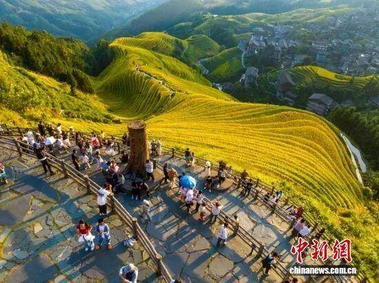 金秋<strong></p>
<p>虚拟币BHD</strong>,广西的梯田一点不输!