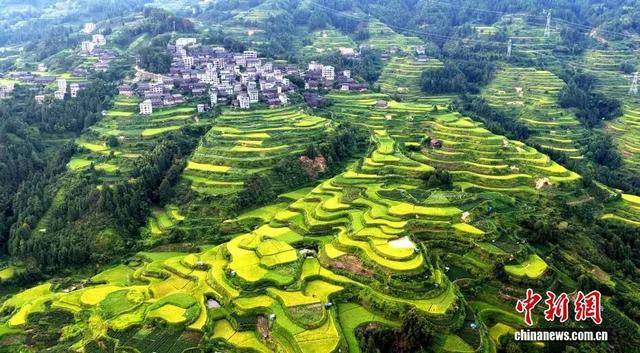 金秋<strong></p>
<p>虚拟币BHD</strong>,广西的梯田一点不输!