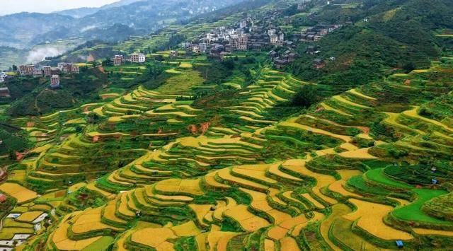 金秋<strong></p>
<p>虚拟币BHD</strong>,广西的梯田一点不输!