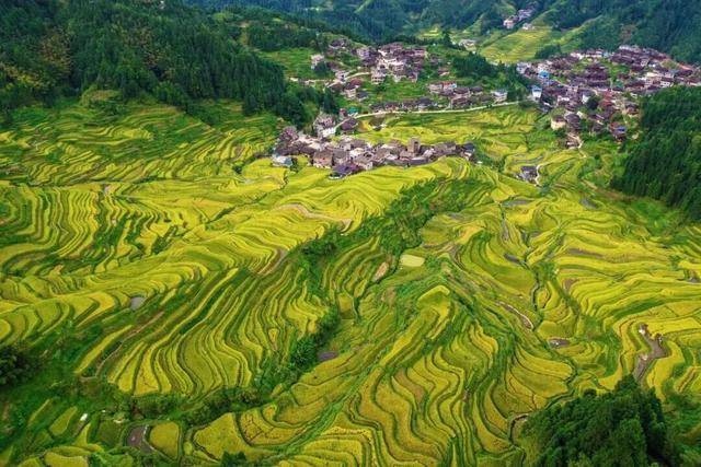 金秋<strong></p>
<p>虚拟币BHD</strong>,广西的梯田一点不输!