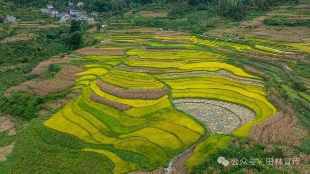 金秋<strong></p>
<p>虚拟币BHD</strong>,广西的梯田一点不输!