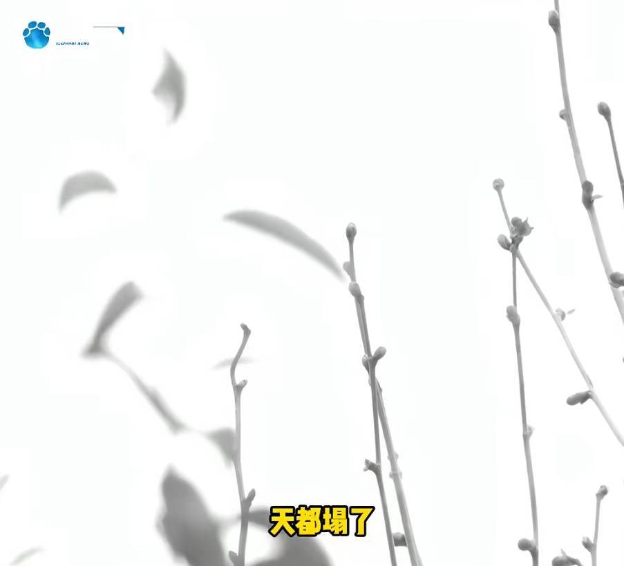 “天塌了<strong></p>
<p>添加虚拟币地址</strong>，我一生都毁了”，男子称养了20年才发现儿子非亲生！前妻坚决否认