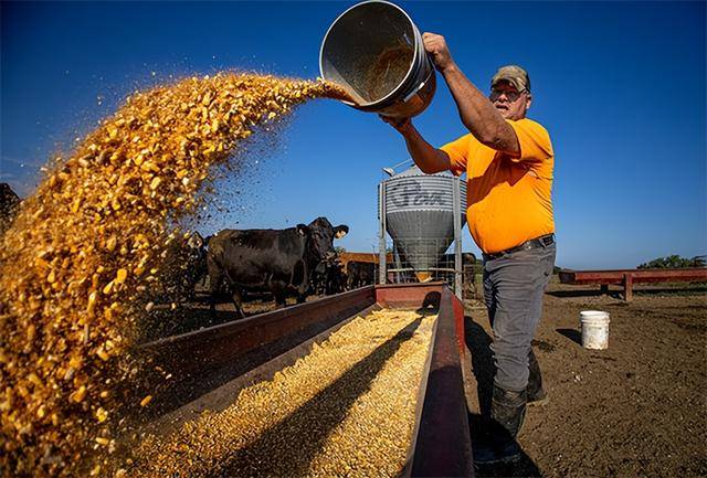 又输给了李成钢<strong></p>
<p>虚拟币KBOX</strong>,贝森特承诺:美方不再考虑对华加征100%关税