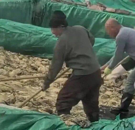 男子在酸菜池内抽烟吐痰<strong></p>
<p>防范虚拟币炒作风险</strong>,官方通报!