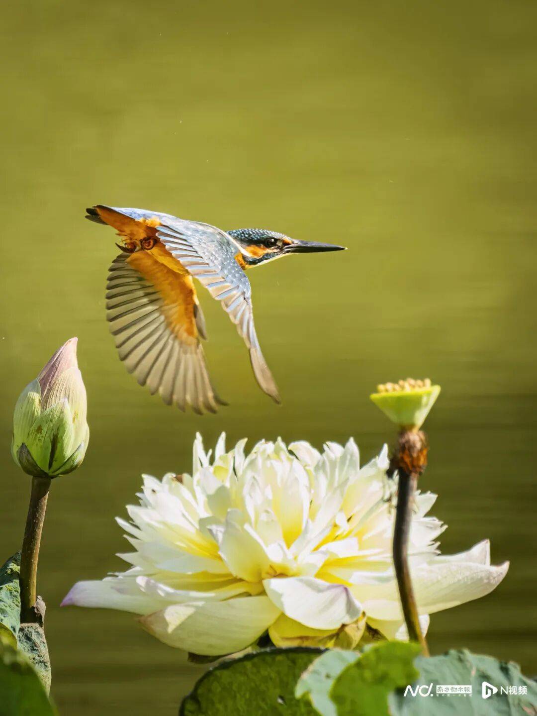 东莞最新发布:将严厉打击这些行为<strong></p>
<p>BGV虚拟币</strong>!