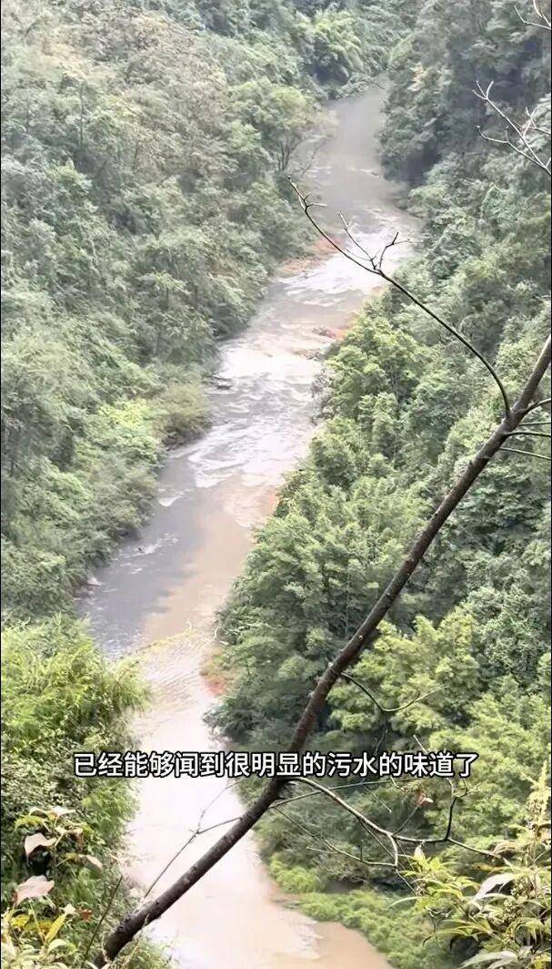 重庆通报：坚决查处<strong></p>
<p>虚拟币大佬</strong>，绝不姑息