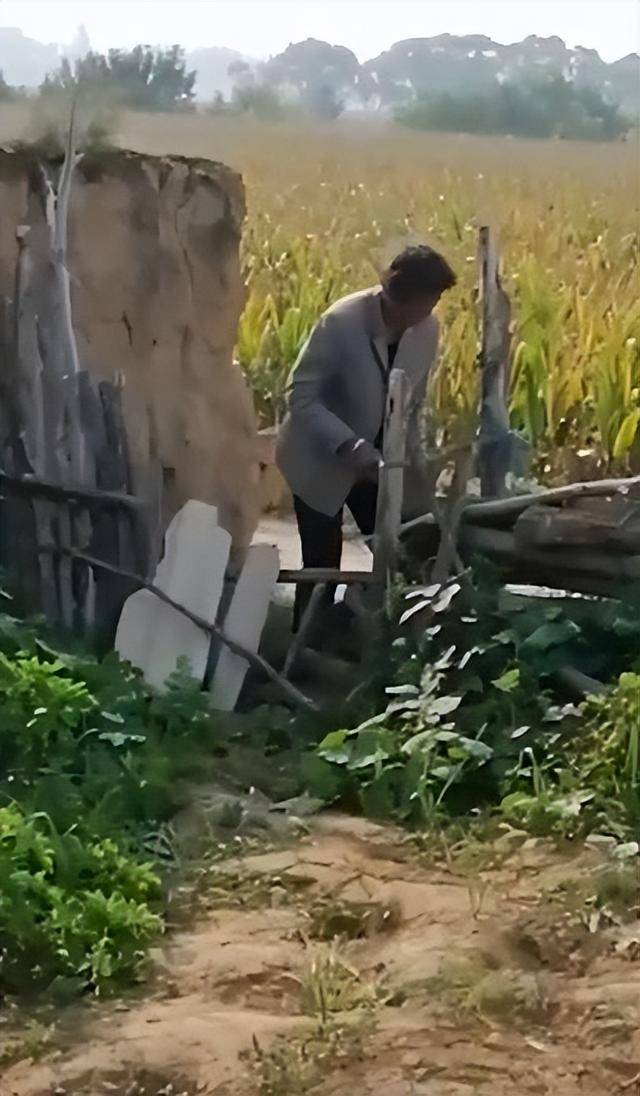 陕西一女子疑因拍亲姑姑偷玉米遭姑父棍杀<strong></p>
<p>虚拟币电子信</strong>，邻居欲报警也遇害