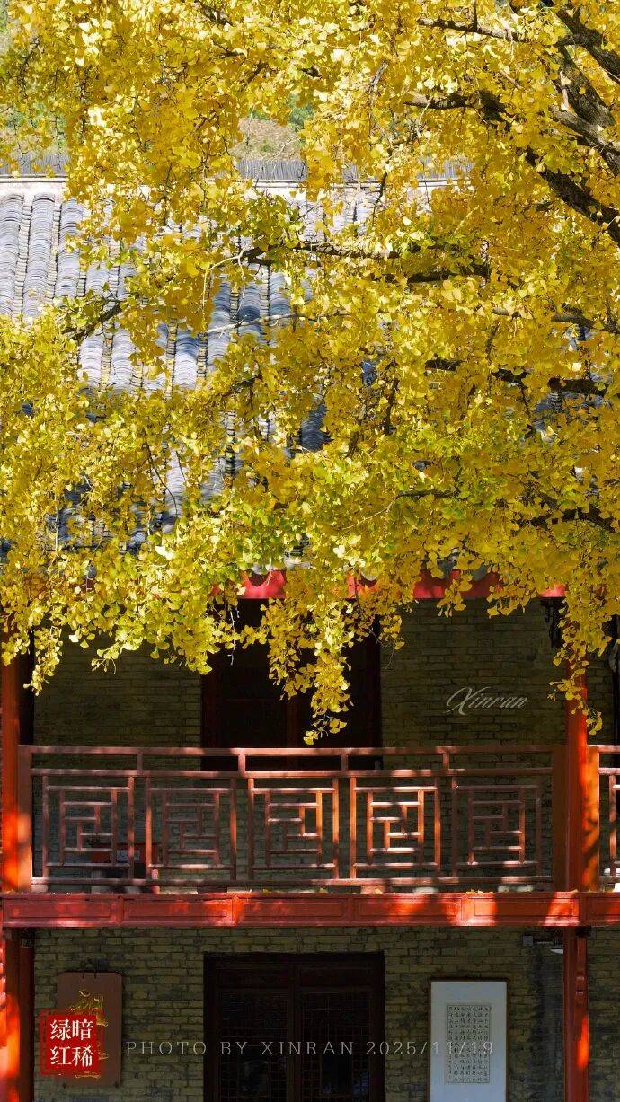 未来三天全省晴，气温缓慢回升<strong></p>
<p>虚拟币电子信</strong>。明晨淮河以南部分地区有雾或浓雾