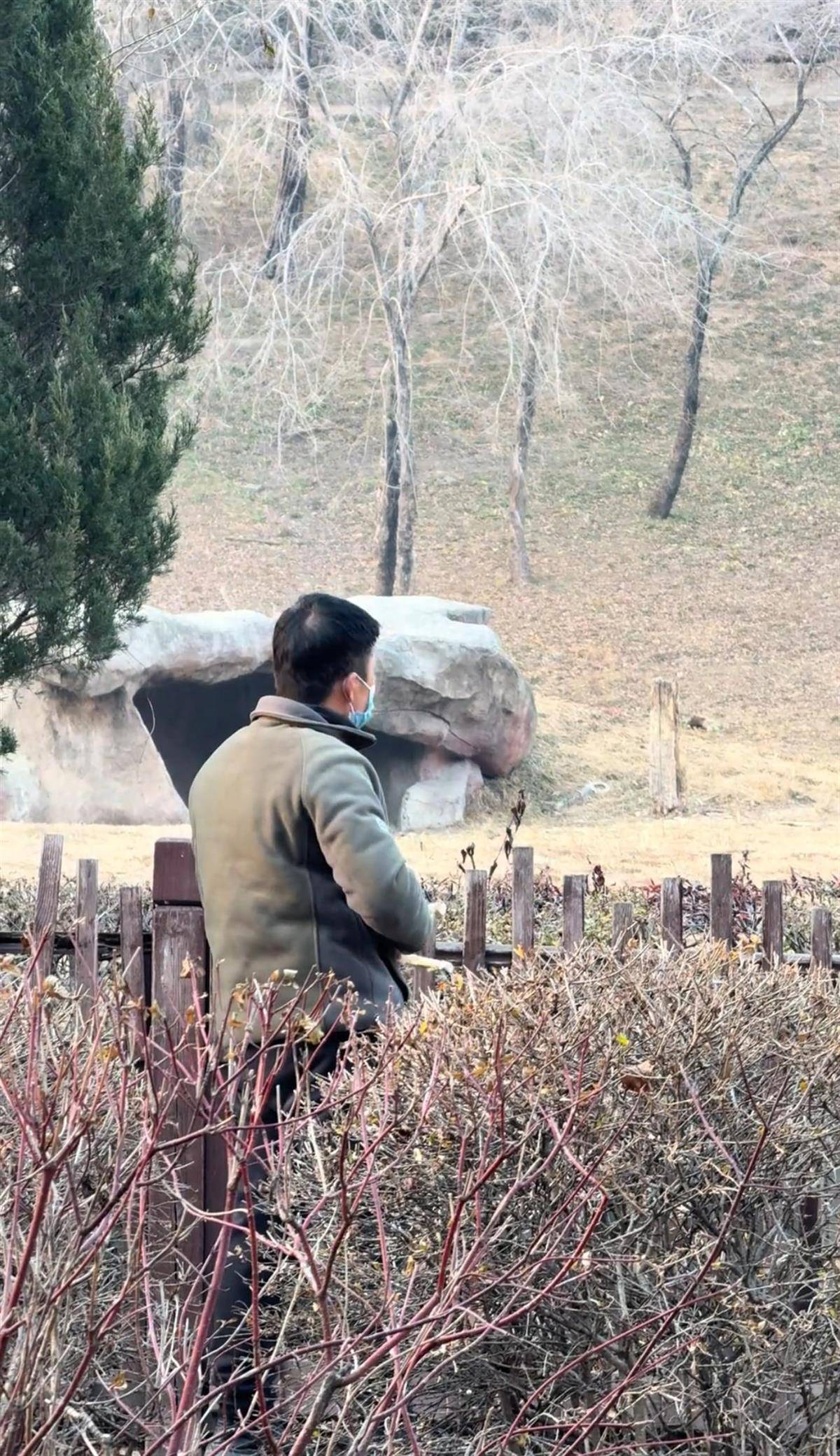 沈阳一男子动物园内用弹弓射老虎<strong></p>
<p>国内玩虚拟币</strong>，目击者称其“填装了弹丸”，打完后老虎爬起来了，园方：正在核实情况