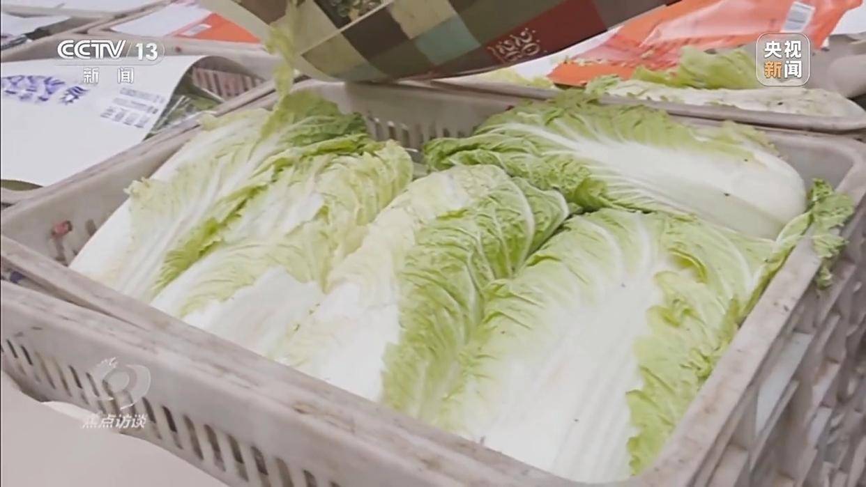 单棵售价超百元<strong></p>
<p>有价值被低估的虚拟币</strong>，起底“套牌白菜”背后的销售套路