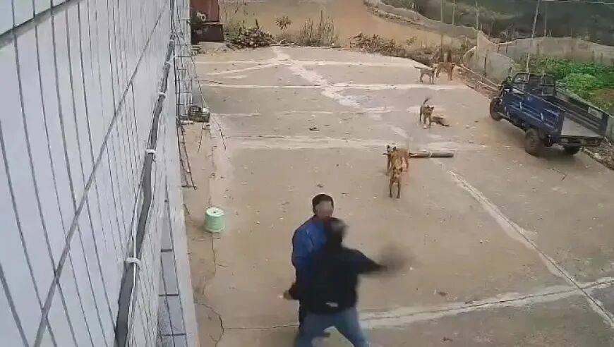 男子家门口吃橘子被邻居一拳打昏<strong></p>
<p>2022年国内虚拟币走向</strong>，警方通报：因养狗问题起冲突，均有受伤