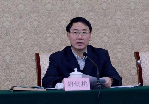 中央批准<strong></p>
<p>2022年国内虚拟币走向</strong>，开除胡幼桃党籍