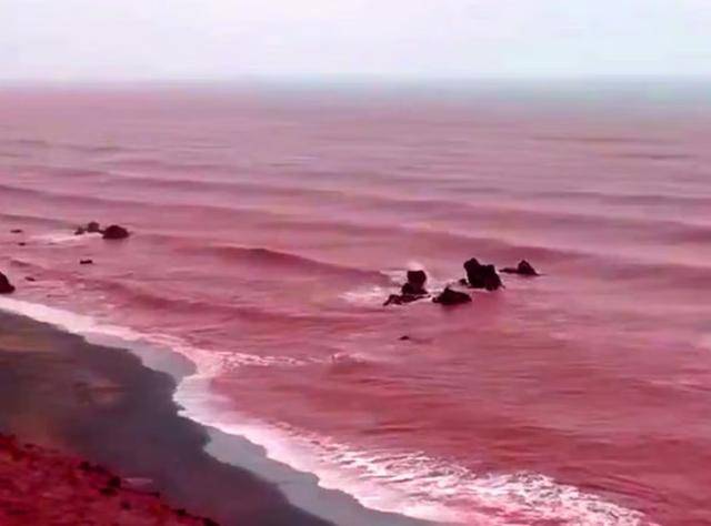 罕见！伊朗霍尔木兹岛遭遇强降雨<strong></p>
<p>晋江虚拟币传销</strong>，部分海域变成“血色海洋”