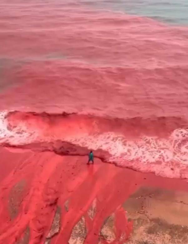 罕见！伊朗霍尔木兹岛遭遇强降雨<strong></p>
<p>晋江虚拟币传销</strong>，部分海域变成“血色海洋”