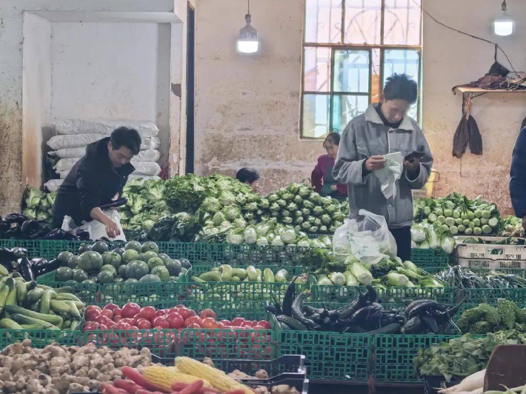 价格飙升至70元/公斤<strong></p>
<p>晋江虚拟币传销</strong>！很多昆明人家中必备……