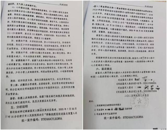 男子被一次性植入6个心脏支架后去世<strong></p>
<p>红旗币虚拟货币</strong>，鉴定认为双方同等责任