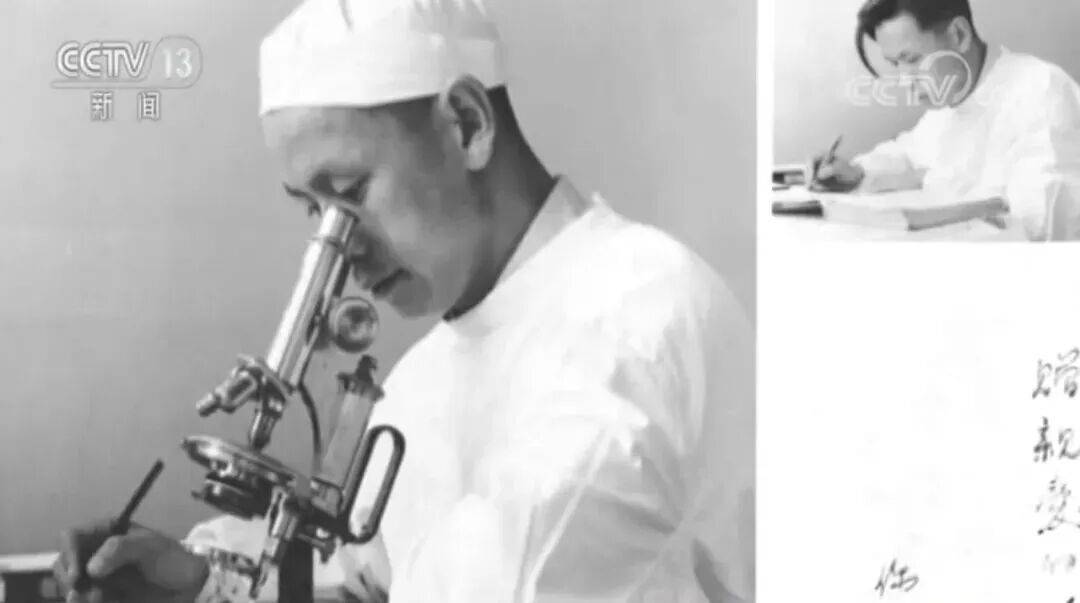 联合国通过决议：纪念“糖丸爷爷”<strong></p>
<p>虚拟币中介怎么挣钱</strong>！