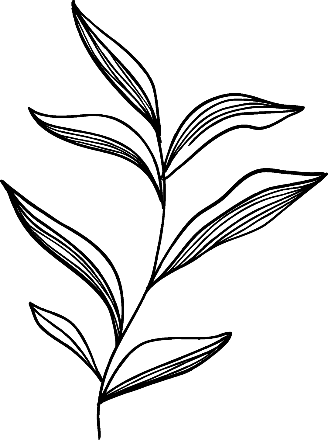 树山分馆限定 | 在竹林里<strong></p>
<p>现在中国如何注册虚拟币平台</strong>，细品22支咖啡豆的“风味之书”