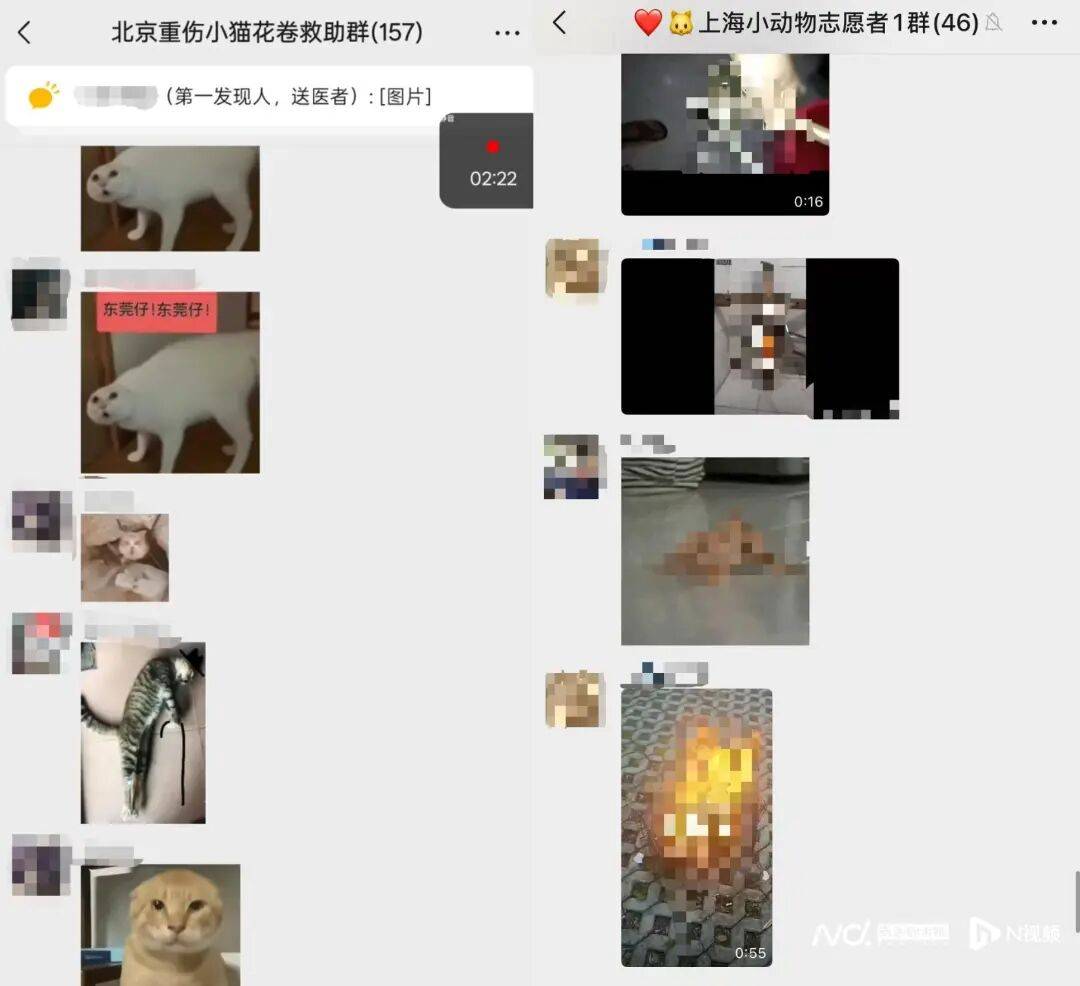 被指惨不忍睹！微信群涌入大量不明人士<strong></p>
<p>个人挖虚拟币一般拘留多久</strong>，突然“炸群”！广东一地警方介入